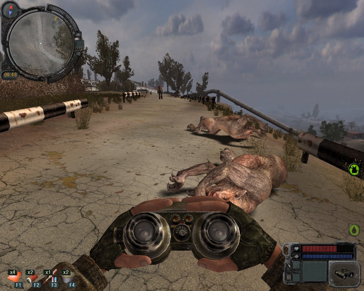 Мод "Эта безумная Зона" Мод "Эта безумная Зона"