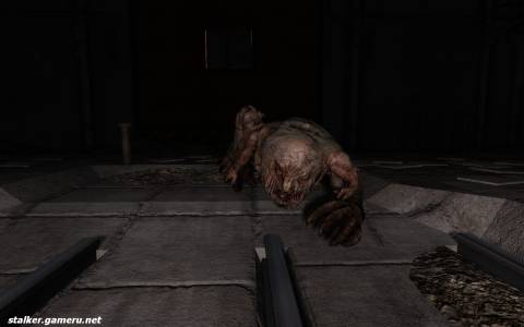 Stalker Зов припяти
